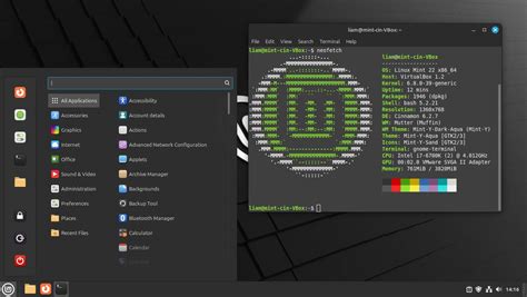 Image result for Linux Mint Visual