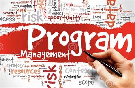 Image result for What Is Program in Project Management