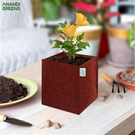 Geo Fabric Plant Grow Bag 400 GSM Square 10X10X10 Inch — Anandi Green's