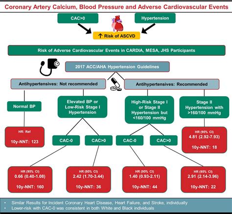 Coronary Artery Calcium Score for Personalization of Antihypertensive ...