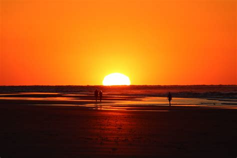 Chicken Scratch: Art | The Review