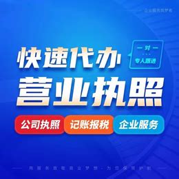 怎么在网上审营业执照_财税干货_重庆悟空财税起名网