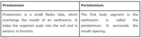 Structural Organisation in Animals ncert solution class 11 Biology