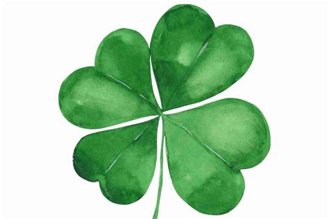 How To Draw A Realistic Four Leaf Clover