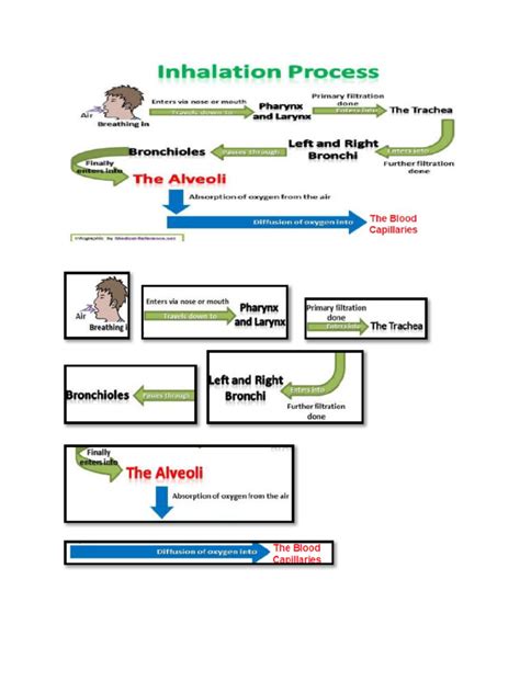 Image result for Inhalation Process Book