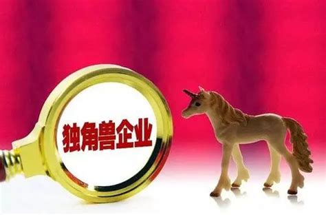 2021中国潜在独角兽企业报告发布会在园区举行 - 苏州工业园区管理委员会