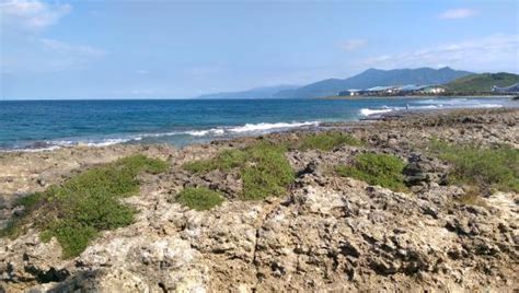 LONG-KO B & B (Checheng) - B&B Reviews & Photos - Tripadvisor