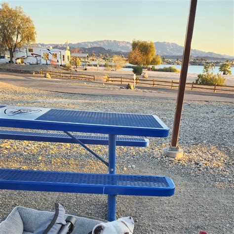 Lake Havasu State Park Campground | Lake Havasu City, Arizona