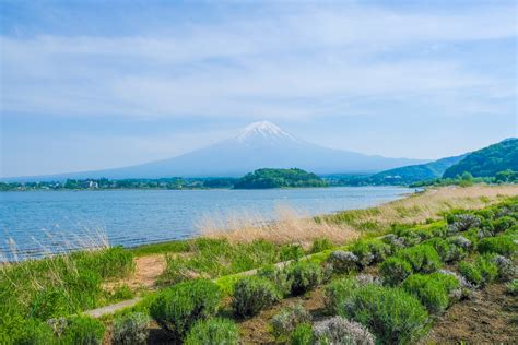 The complete guide to Fujikawaguchiko, Japan