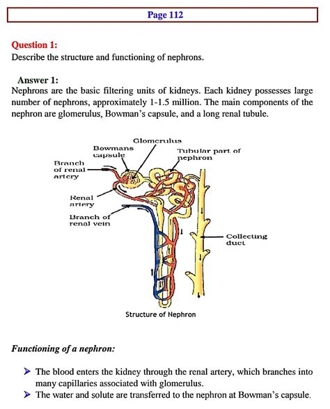 Class 10 Science Chapter 6 All Processes 的图像结果