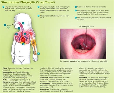rash with strep throat