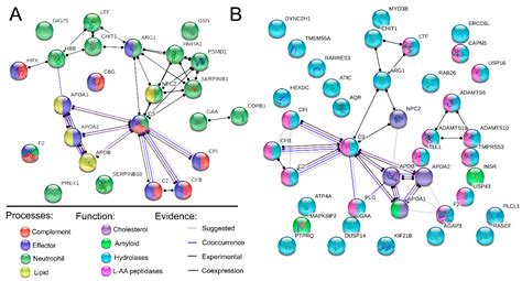 SpotLight Proteomics—A IgG-Enrichment Phenotype Profiling Approach with ...
