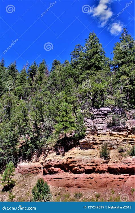 Mogollon Rim, Yavapai County, State of Arizona, United States Stock ...