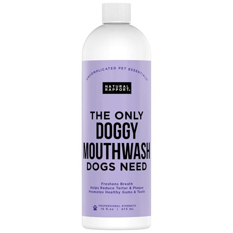 Buy Natural Rapport Dog Mouthwash - The Only Doggy Mouthwash Dogs Need ...