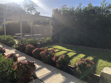 Asquith STA - Sahara Services