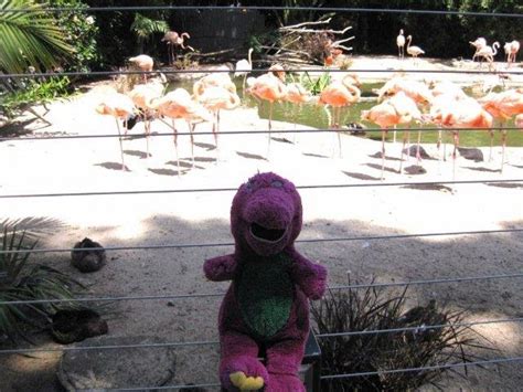 Barney Zoo Up 的图像结果