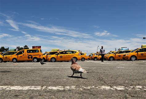 In JFK Airport taxi line scam hackers charge $10 to skip the line ...