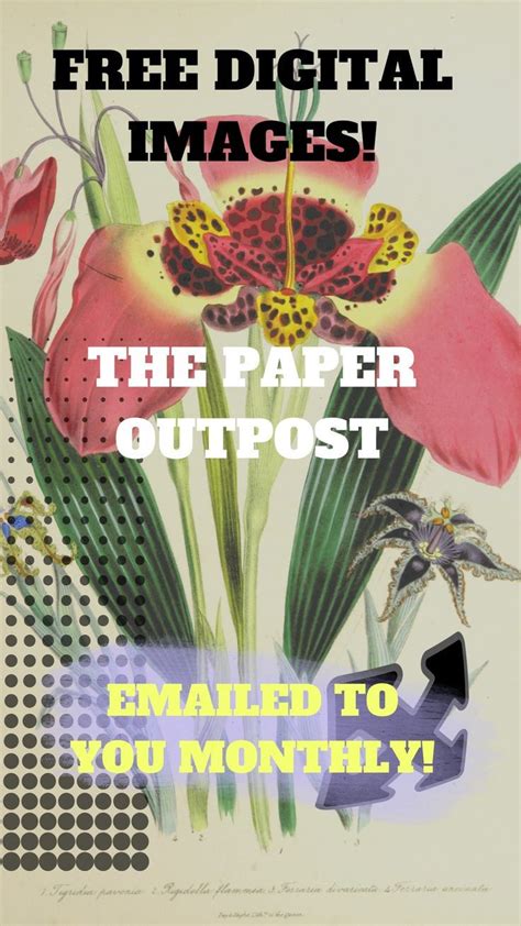 Image result for Paper Outpost Tutorials Tucs
