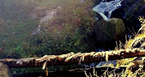 Kheer Ganga Trek 2026: A Visual Glimpse Of The Beauteous Trail