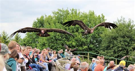 39 incredible ethical animal experiences around the world