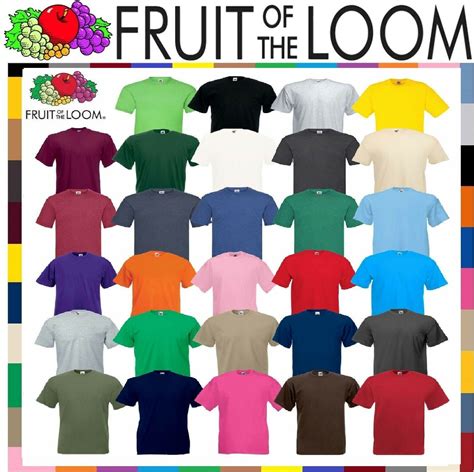Tee Shirt Fruit Of The Loom 5 Or 3 Pack Mens 100% Cotton Plain T-Shirts ...