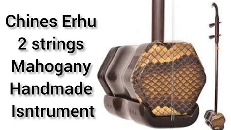 Image result for 2 Stringed Instrument