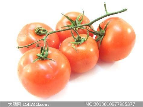 五个西红柿图片,西红柿图片大全大图,西红柿的图片_大山谷图库