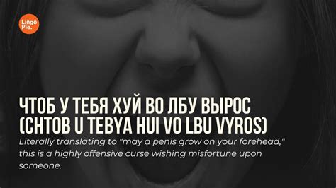 14+ Crazy Russian Swear Words And What They Mean [2025]