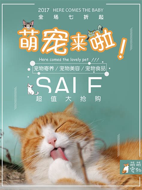 宠物店宣传促销_素材中国sccnn.com