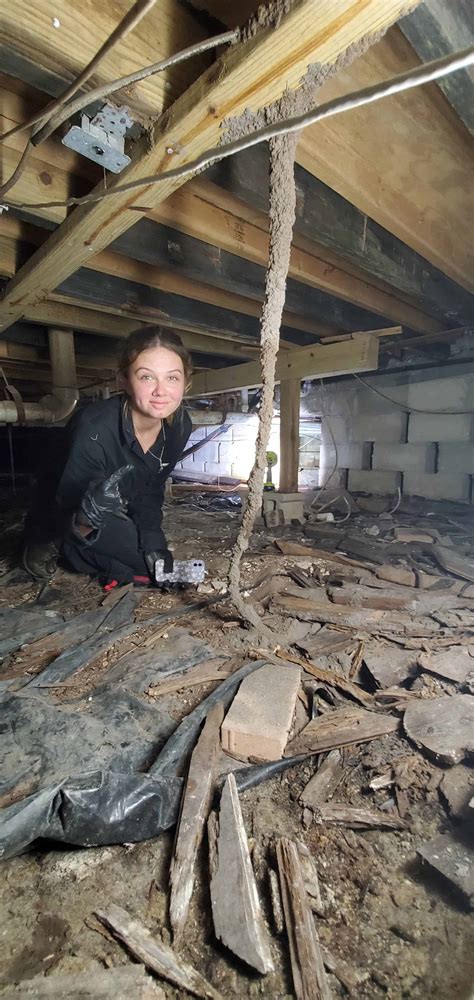 Mud Tubes on Wall: Uncovering Termite Infestation Signs