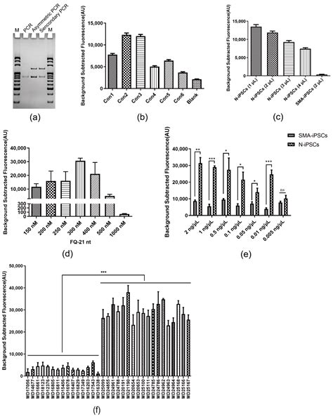 Cas14a1-Mediated Nucleic Acid Diagnostics for Spinal Muscular Atrophy