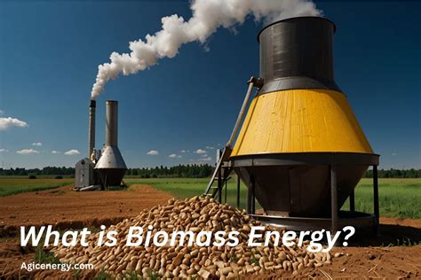 Biomass Power