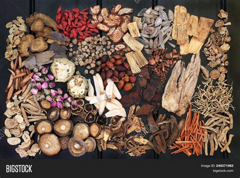 Top 5 Herbs For Women According To Traditional Chinese