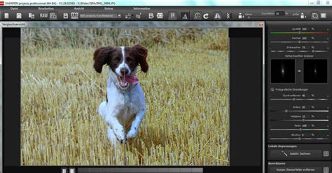 Image result for Tutorial for Sharpen Projects 2