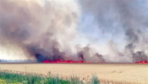 ZAPALJENA ŽITNA POLJA: Vatra na letini u Hersonskoj oblasti u Ukrajini ...