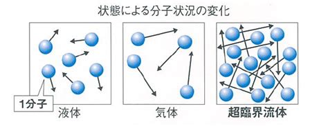 Image result for Shifted Square Root Function Example