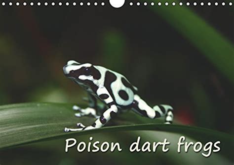 Poison dart frogs / UK-Version / Birthday Calendar 2019: Poison dart ...