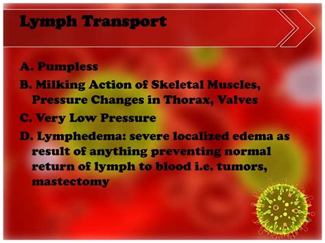 Lymphatic System Overview 的图像结果