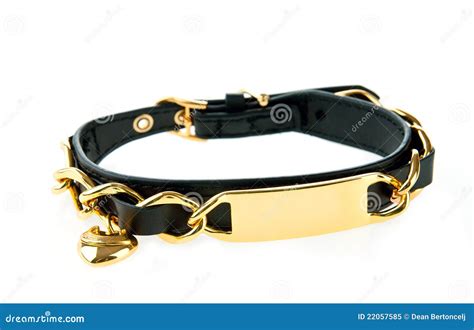 Luxury dog collar stock image. Image of jewel, fashion - 22057585