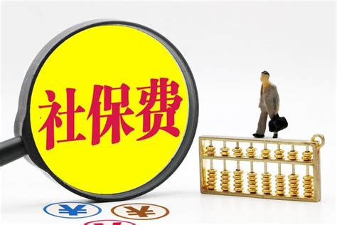 挂靠缴纳社保需要承担什么后果-律师普法-法师兄