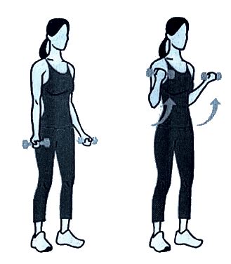 Modes of Contraction in Skeletal Muscle - Medical Science Optional ...