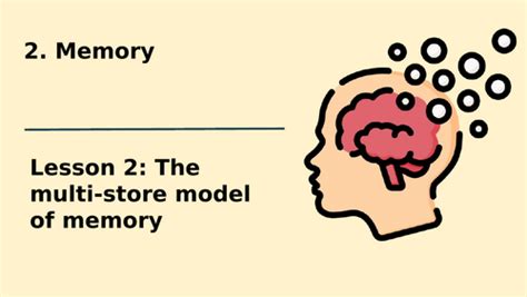Image result for Multi-Store Memory Model OE