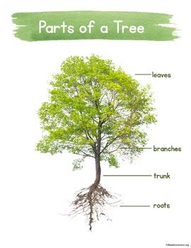 Image result for Tree Structure HTML/CSS