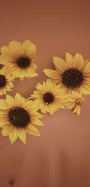 Image result for Android 14-Screen