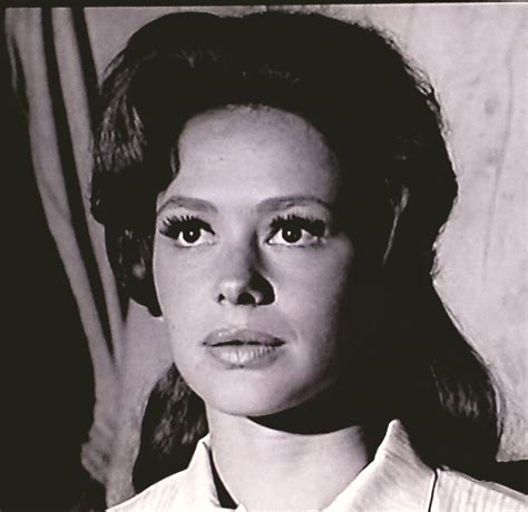 Judi Meredith - actress - biography, photo, best movies and TV shows