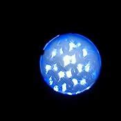 Buy Smartivity Microscope 100x Zoom Science Toy STEM DIY Fun Game for ...