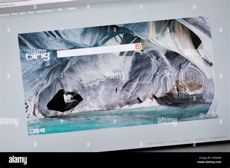 Bing Internet Search Engine 的图像结果