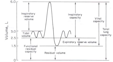 Image result for Spirometry Explained