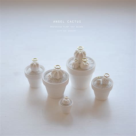 天使サボテン（white）銀冠玉 | null plants (空白植物店）