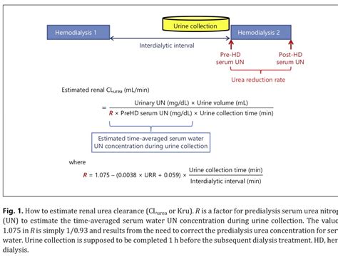 Renal Clearance Calculation